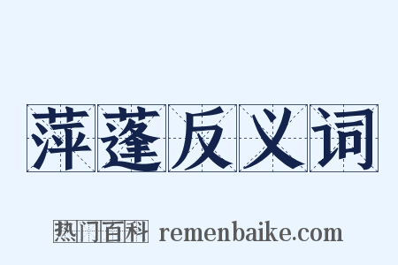 萍蓬反义词是什么意思的图片